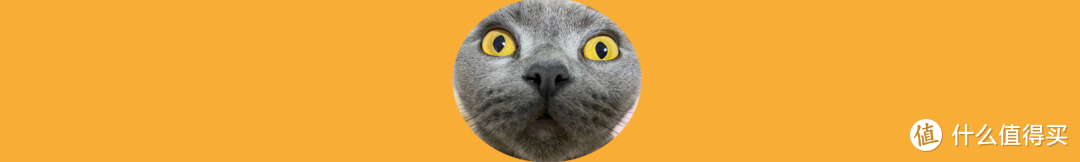 新手养猫攻略—养猫两年半,我究竟花了多少钱?看完我惊讶了